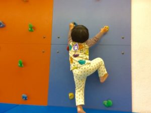 子供の習い事ボルダリング