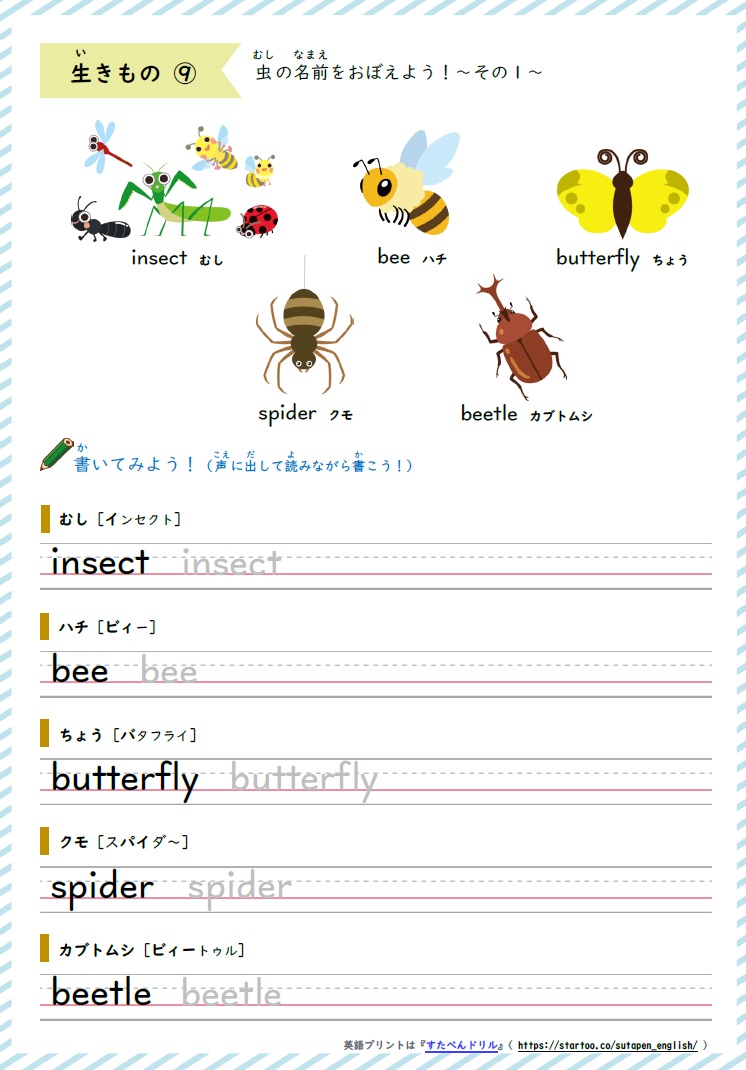 英単語学習プリント いきもの編9 子供の習い事図鑑