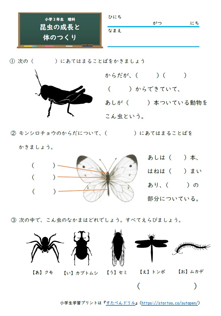 小学3年生1学期の振り返り 夏休み復習プリント 一覧 無料ダウンロード印刷