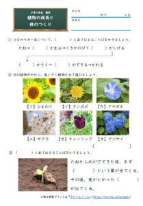 小学3年生 理科 学習プリント 練習問題 無料ダウンロード 印刷