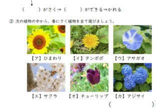 理科の検索結果 ページ 5 子供の習い事図鑑