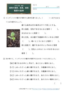 小5理科 植物の発芽 成長 結実 の学習プリント 無料ダウンロード 印刷