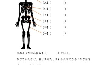 小学4年生 理科 学習プリント 練習問題 無料ダウンロード 印刷