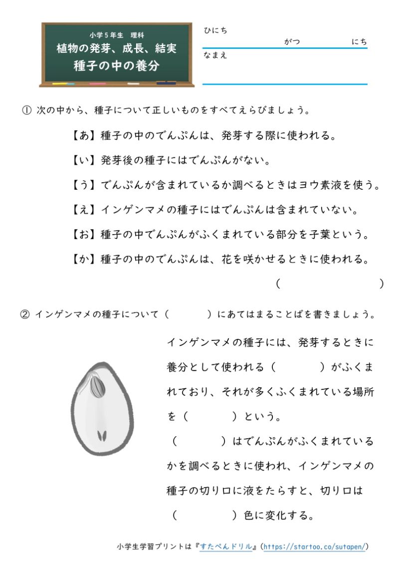 植物の発芽・成長・結実 無料プリント