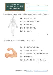 小4理科「骨と筋肉の働き」(動物のからだのつくりと運動)のプリント（テスト・練習問題）