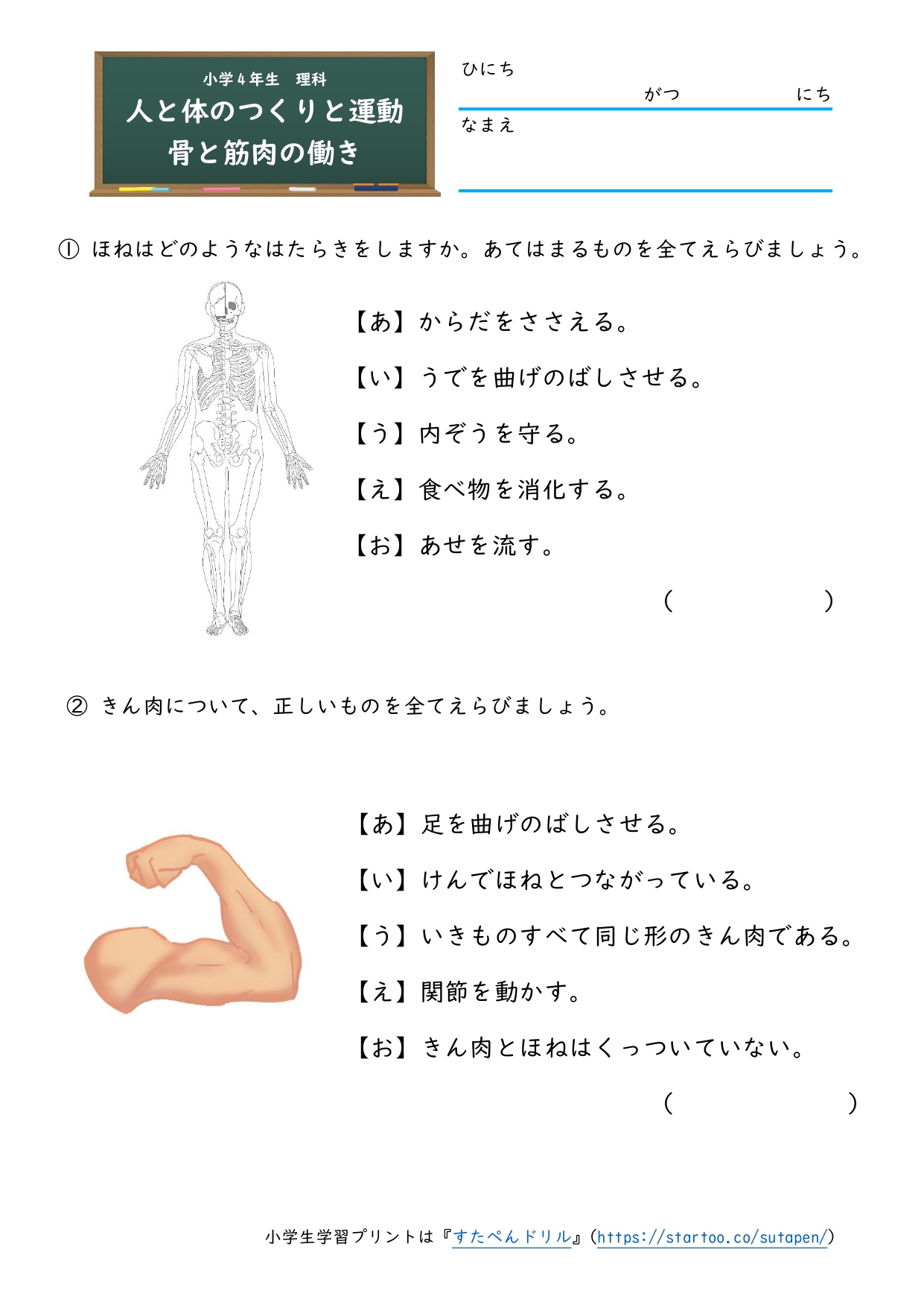 小4理科「人の体のつくりと運動」の学習プリント | 無料ダウンロード・印刷