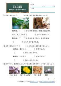 小6理科 生物と環境 の学習プリント 無料ダウンロード 印刷