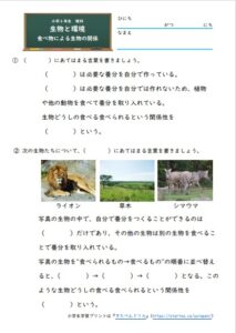 小6理科 生物と環境 の学習プリント 無料ダウンロード 印刷