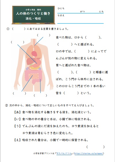 小6理科「人の体のつくりと働き」の学習プリント | 無料ダウンロード・印刷