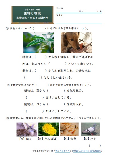 生物と環境 無料プリント