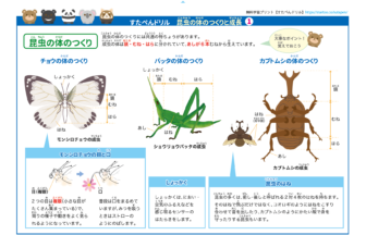 小学生理科「昆虫の体のつくりと成長」図解プリント | 無料ダウンロード印刷
