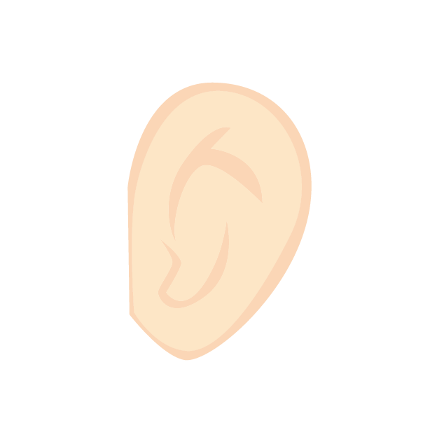体クイズ　耳