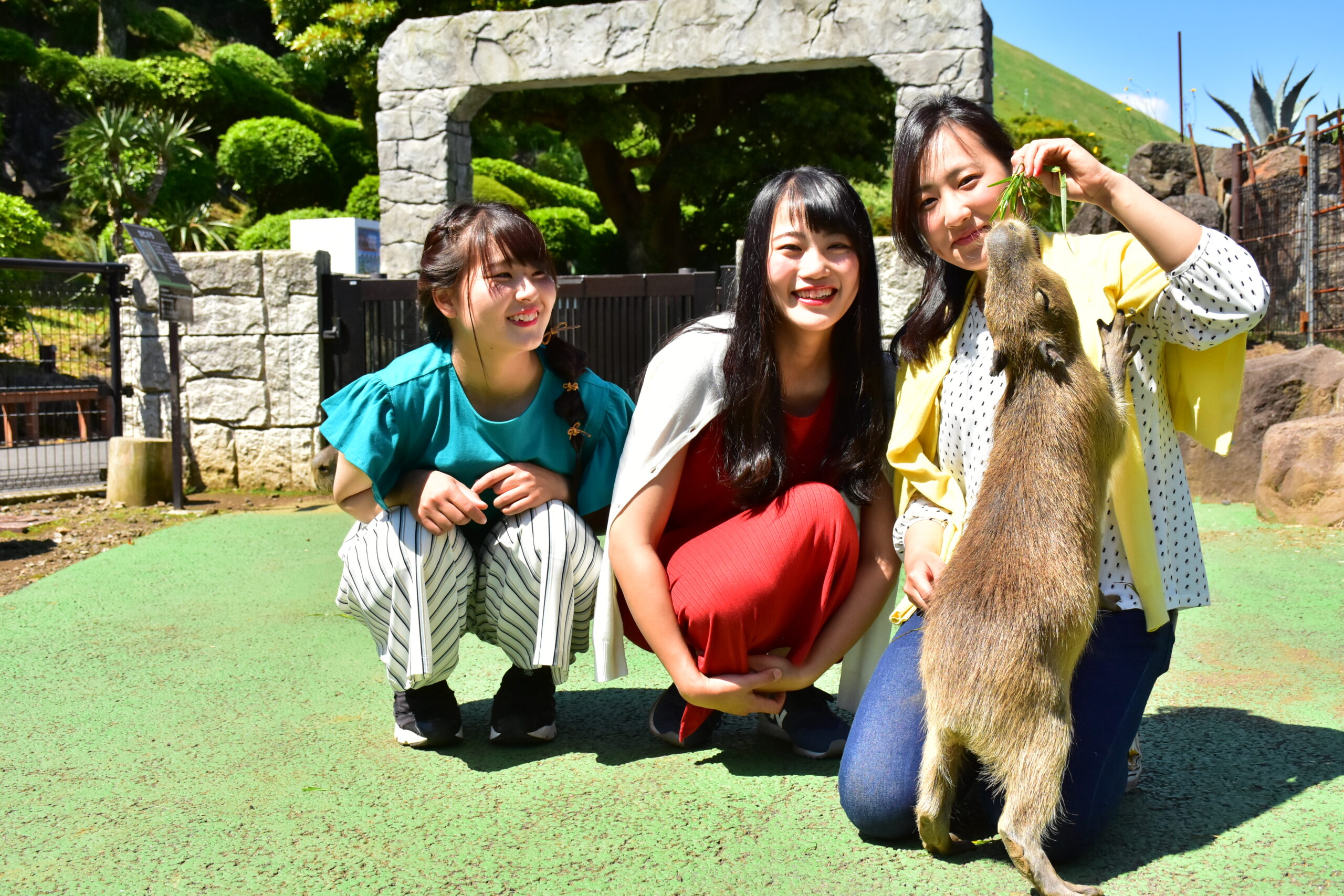 伊豆シャボテン動物公園の様子