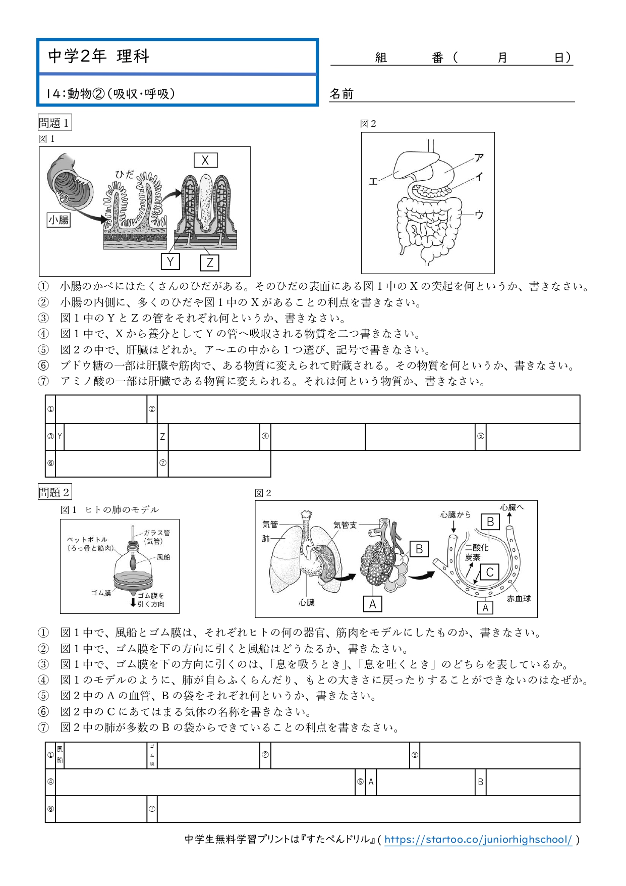 中学2年生「理科」学習プリント・練習問題 | 無料ダウンロード印刷
