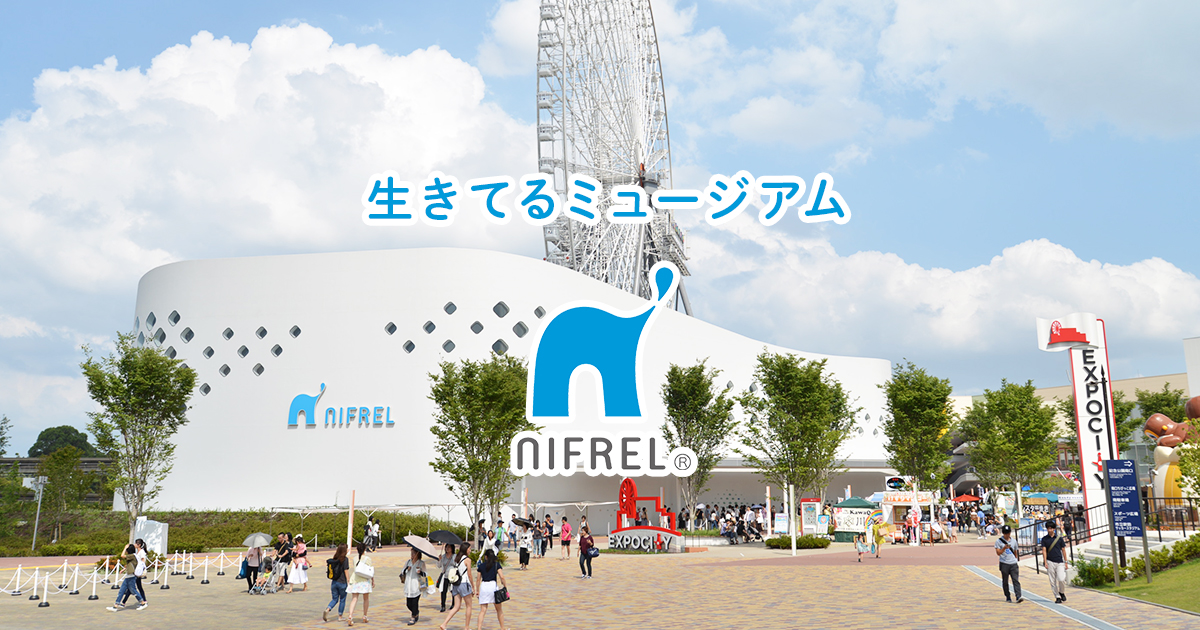NIFREL(ニフレル)の様子