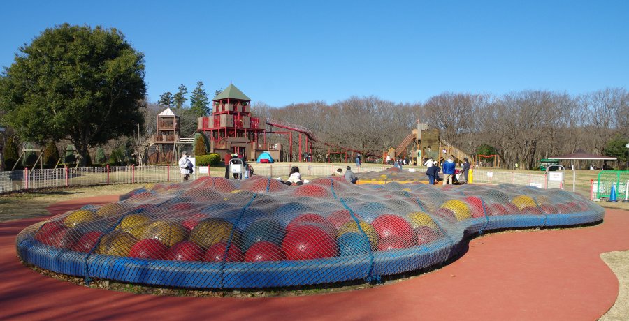ふなばしアンデルセン公園の様子