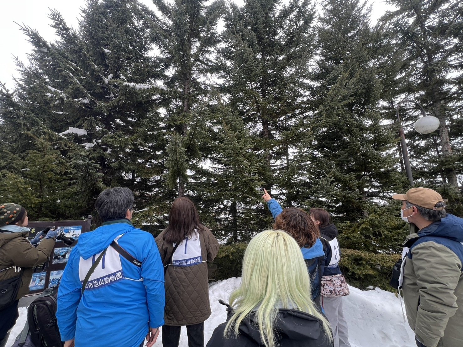 旭山動物園の様子