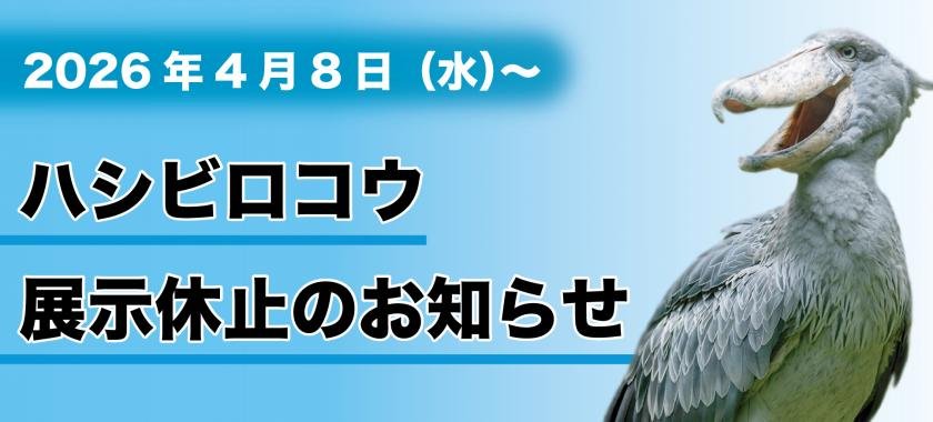 千葉市動物公園の様子