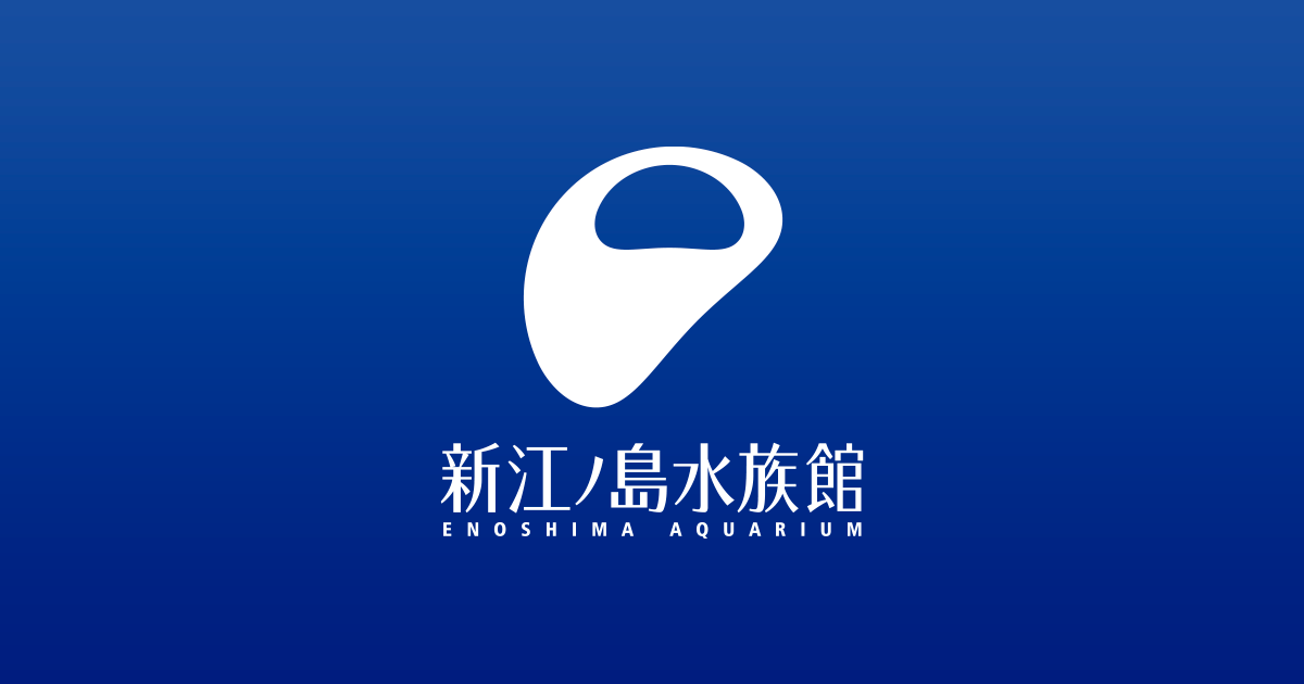 新江ノ島水族館の様子