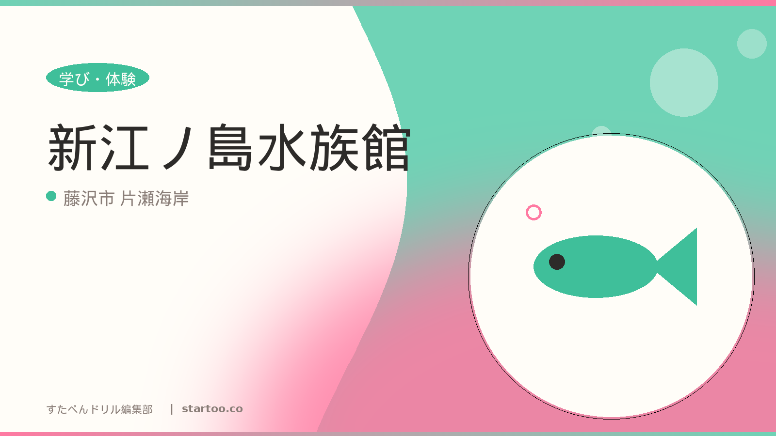 新江ノ島水族館のイメージ画像。藤沢市 片瀬海岸の親子おでかけスポット。