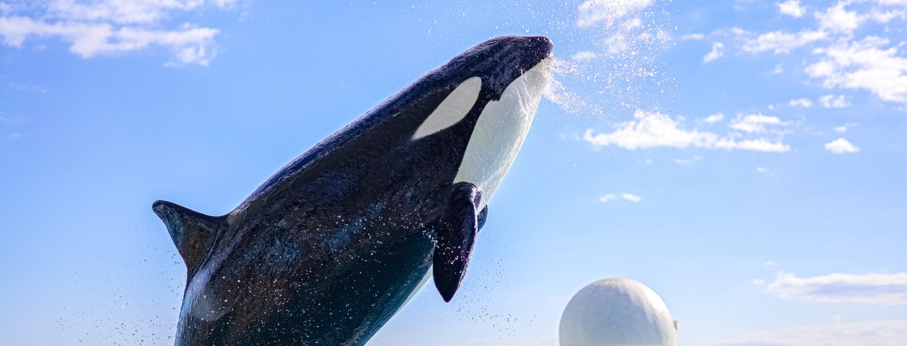 鴨川シーワールドの様子