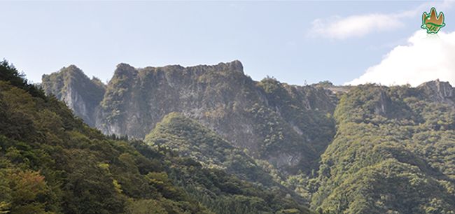 神流町恐竜センター 恐竜体験エリア