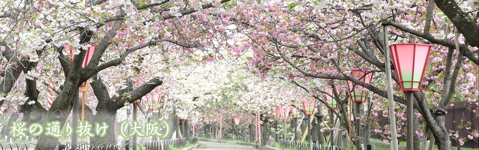 造幣局本局の様子