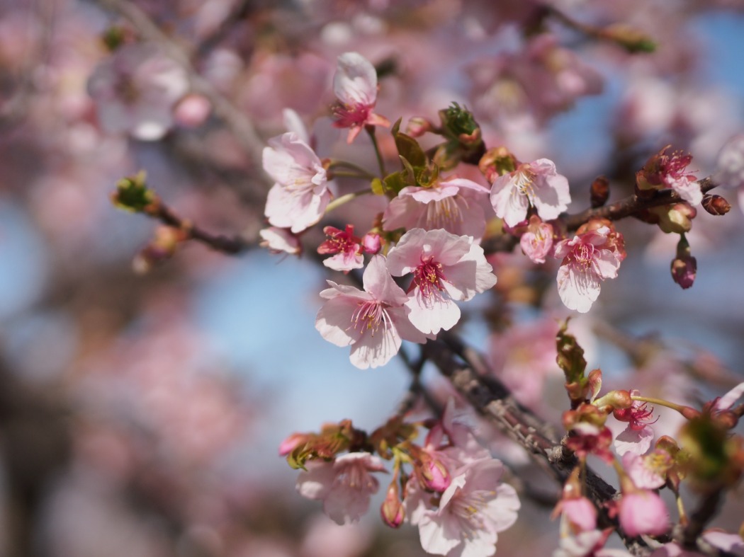 さいたま水族館の様子