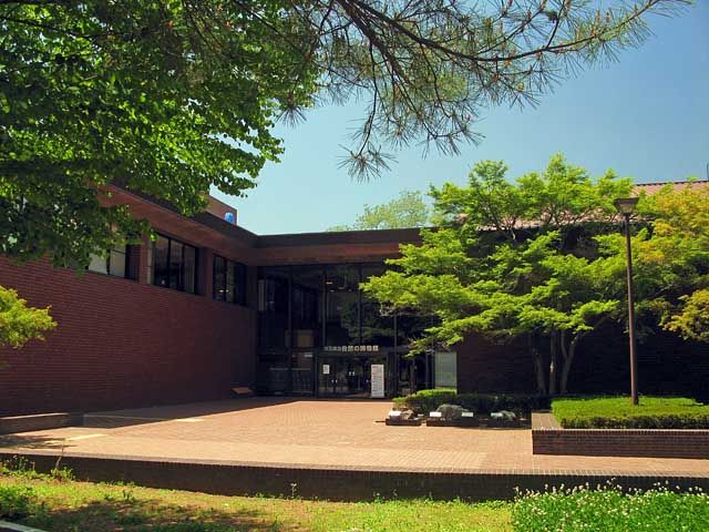 埼玉県立自然の博物館 メガロドン復元模型