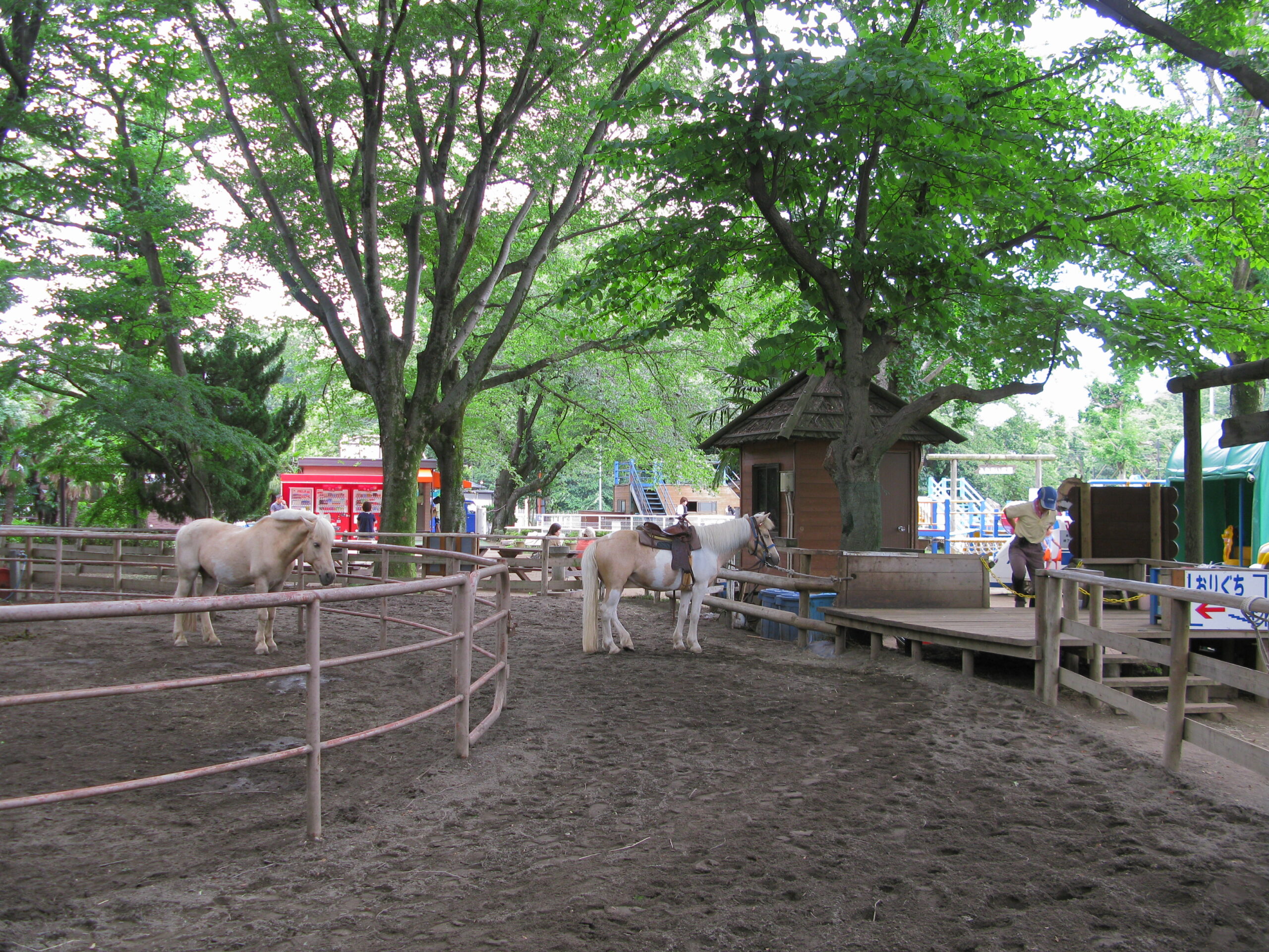 清水公園フィールドアスレチックのイメージ