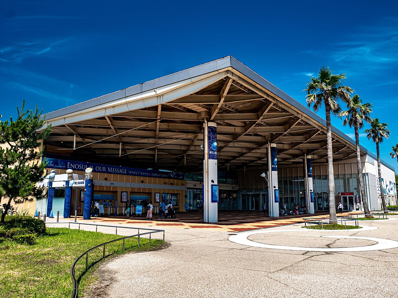 新江ノ島水族館のイルカショー