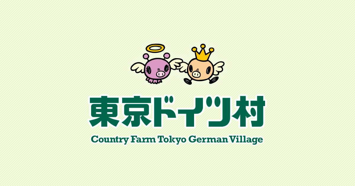 東京ドイツ村の様子