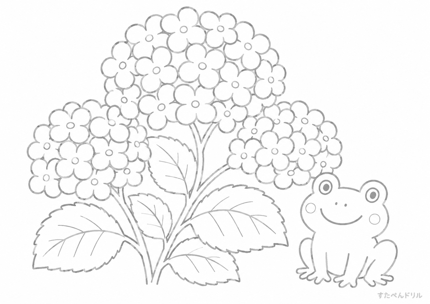 アジサイとかえるのぬりえ 無料プリント A4 PDF