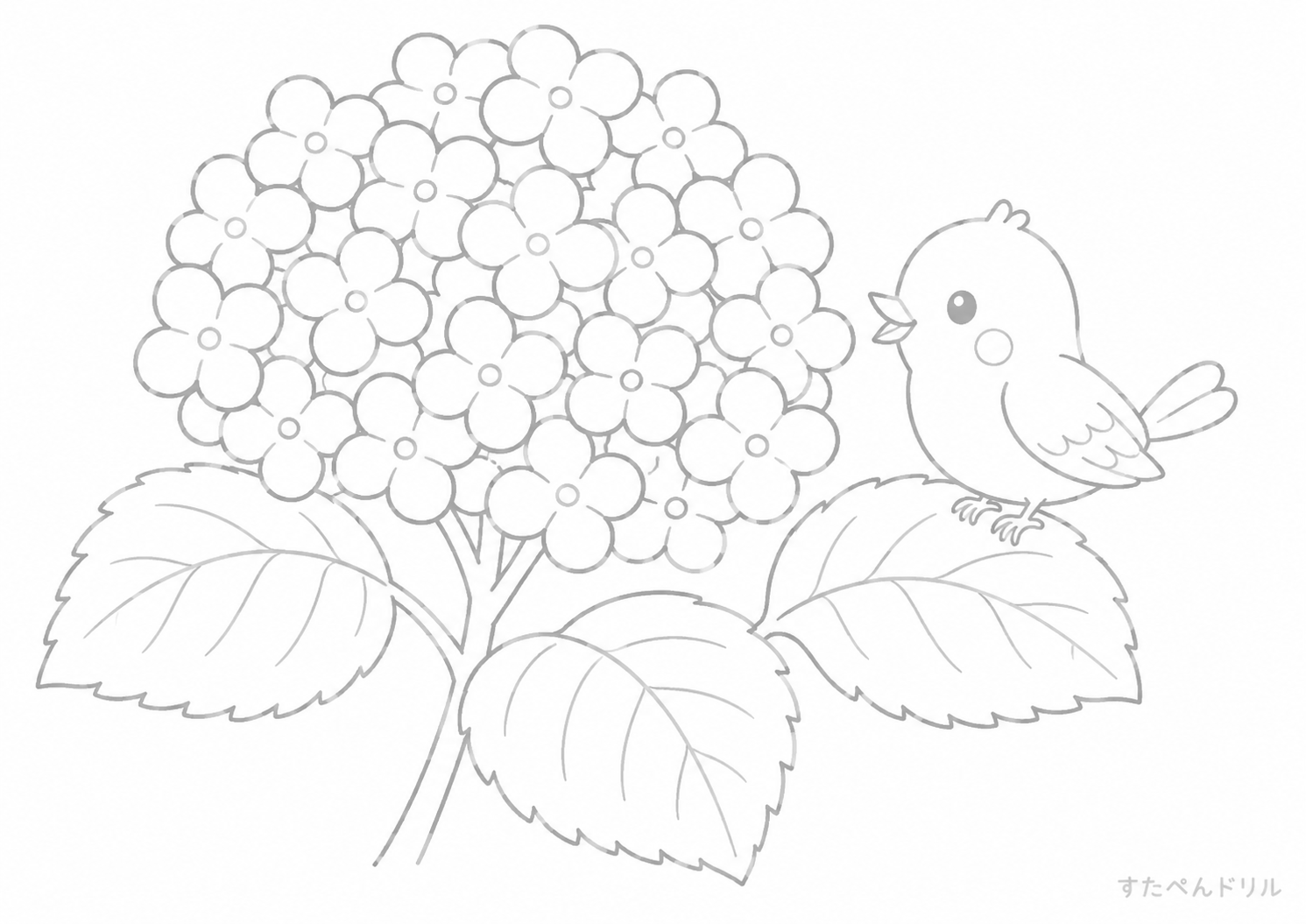 アジサイと小鳥のぬりえ 無料プリント A4 PDF