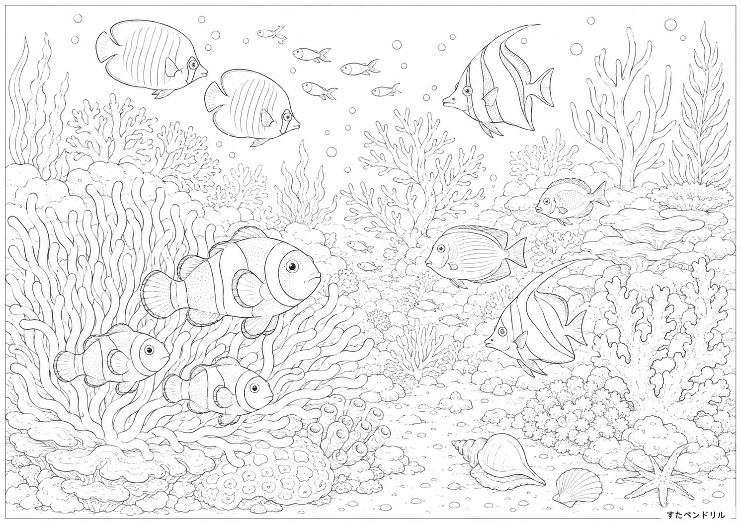 サンゴ礁のリアルな魚の塗り絵プリント