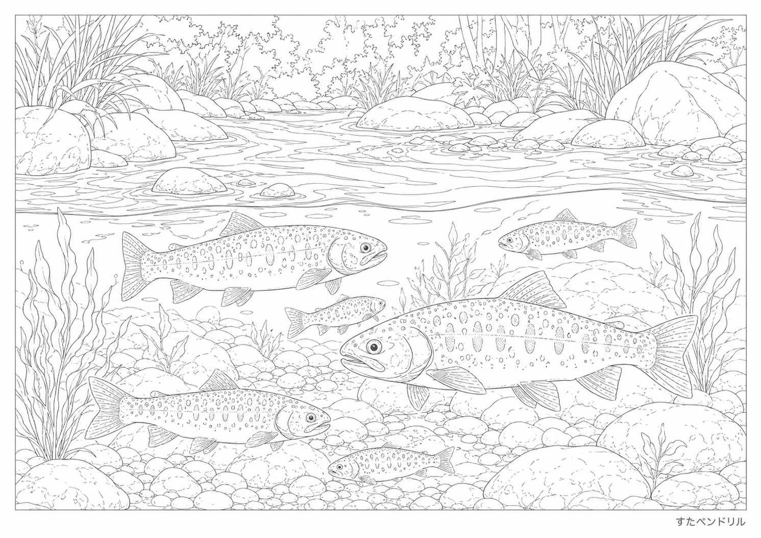 川の中の魚のリアルな塗り絵プリント