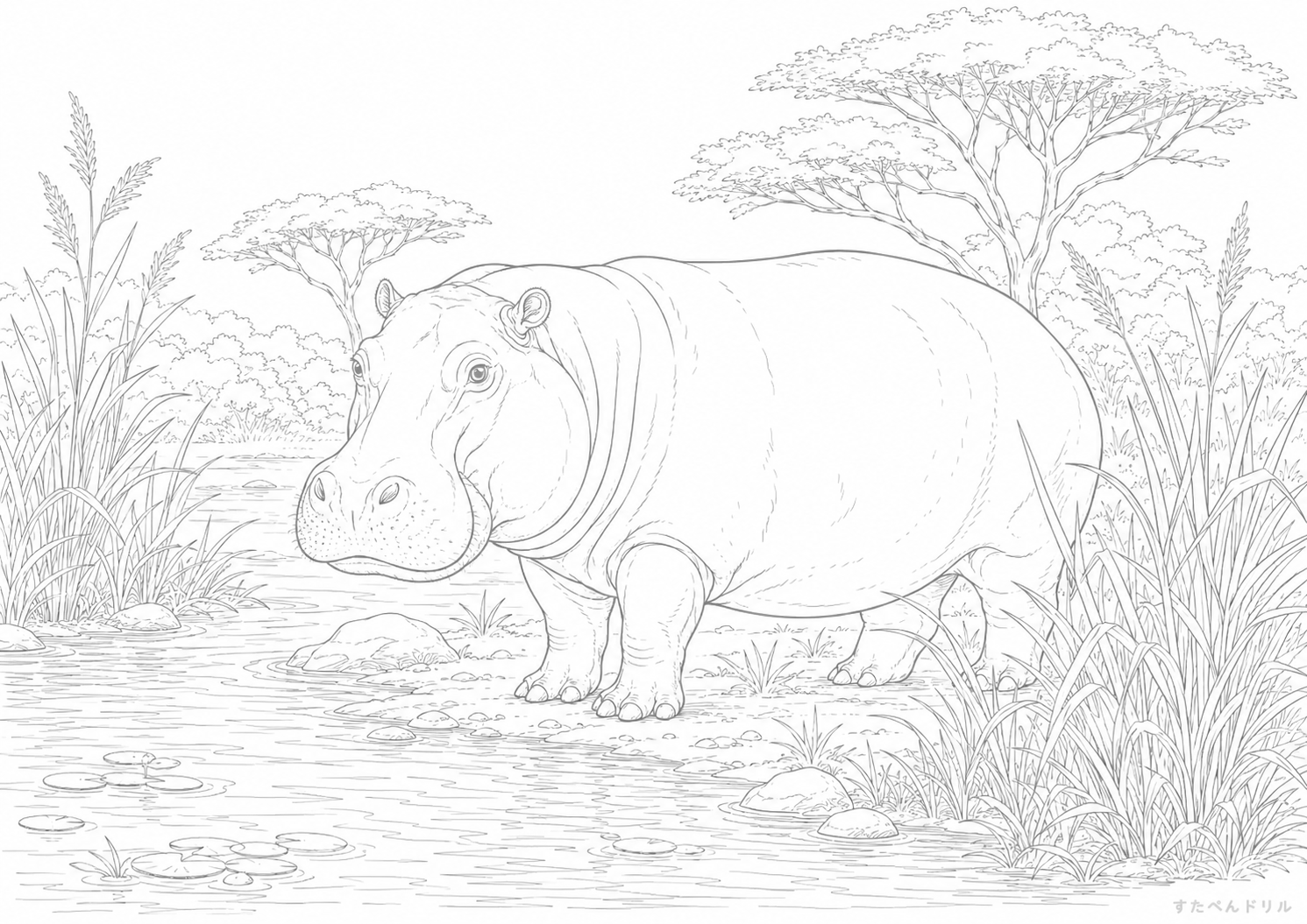 川辺のカバぬりえプリント