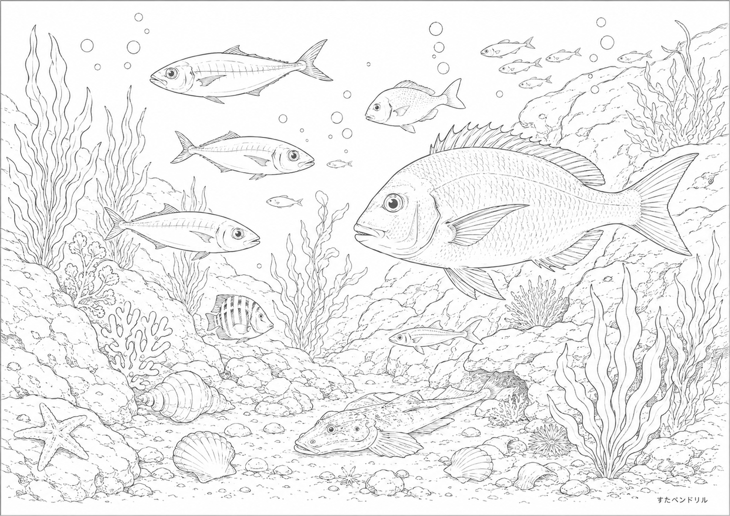 岩場を泳ぐリアルな魚の塗り絵プリント