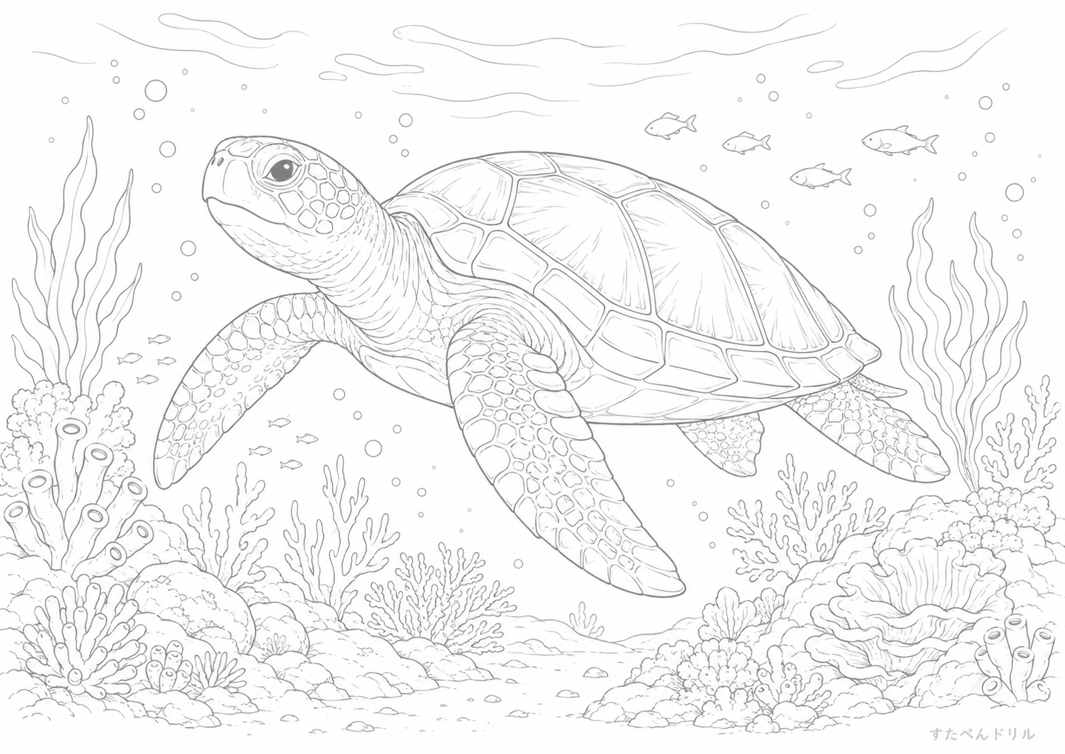 ウミガメとサンゴ礁のぬりえ 無料プリント A4 PDF