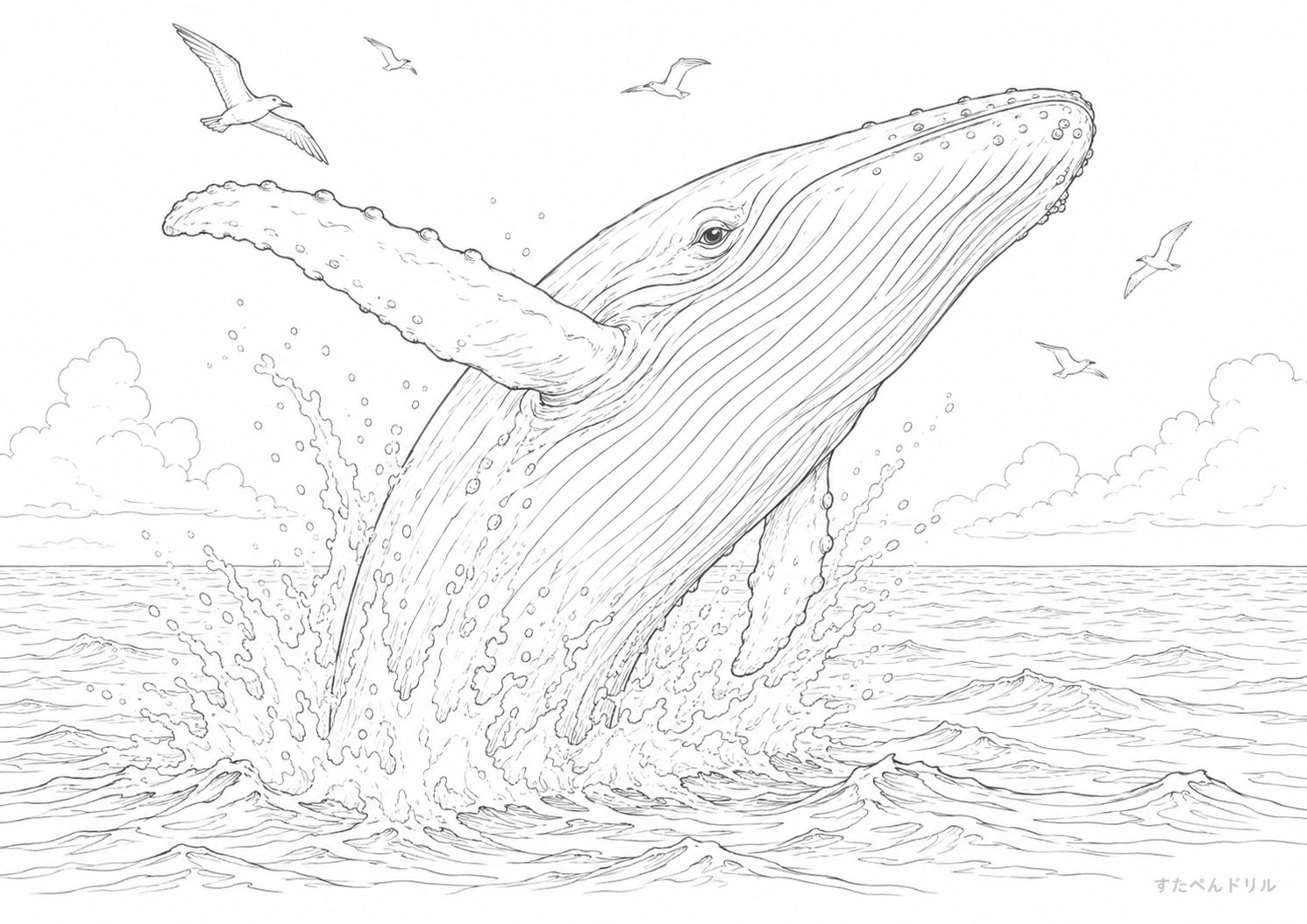 リアルなジャンプクジラぬりえ 無料プリント A4 PDF
