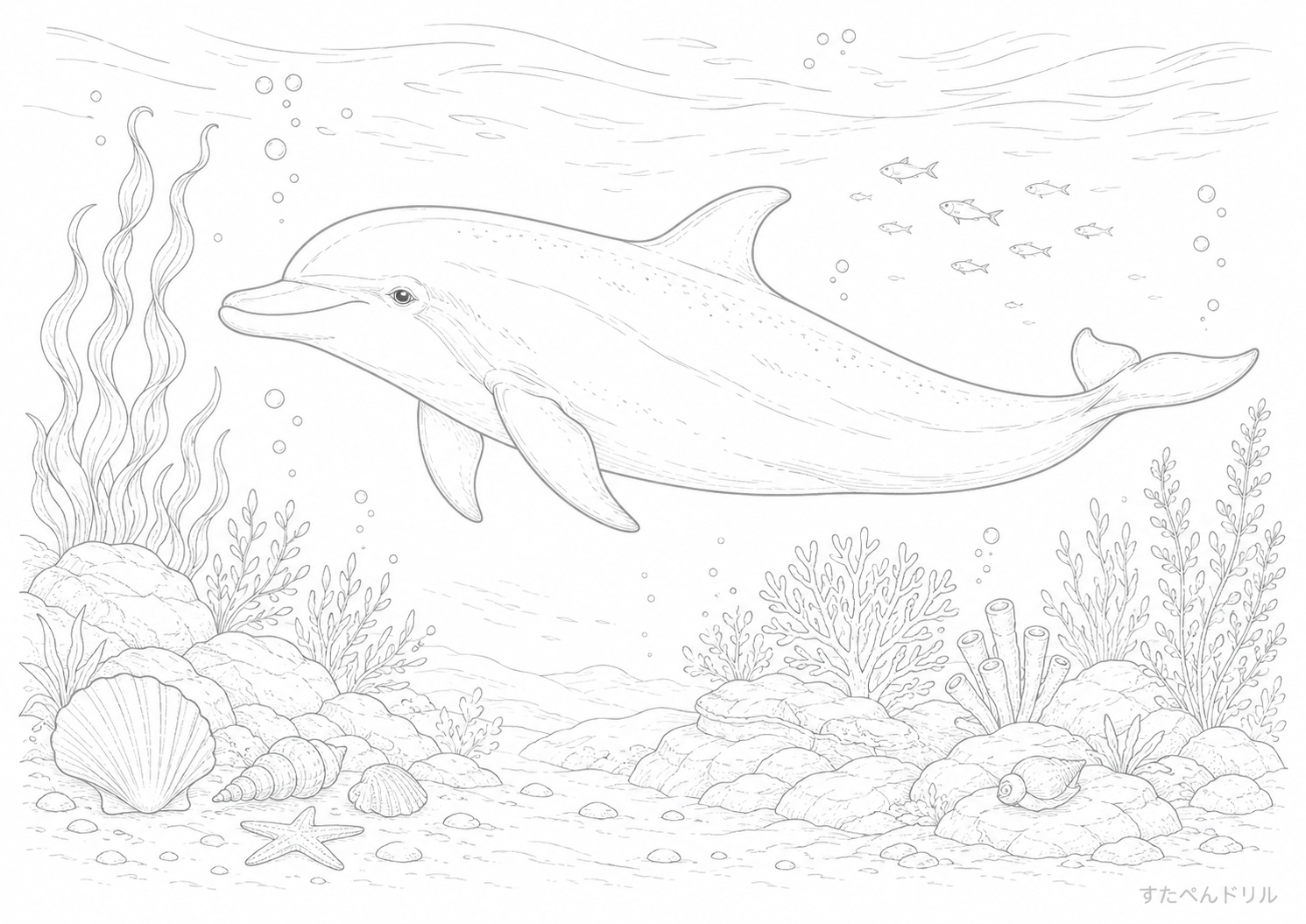 リアルなイルカの海の塗り絵プリント