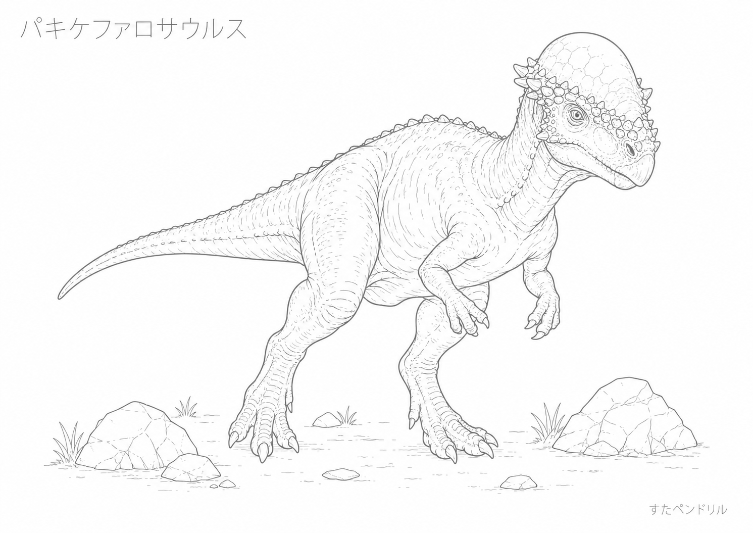 かっこいいパキケファロサウルスのぬりえプリント無料ダウンロード