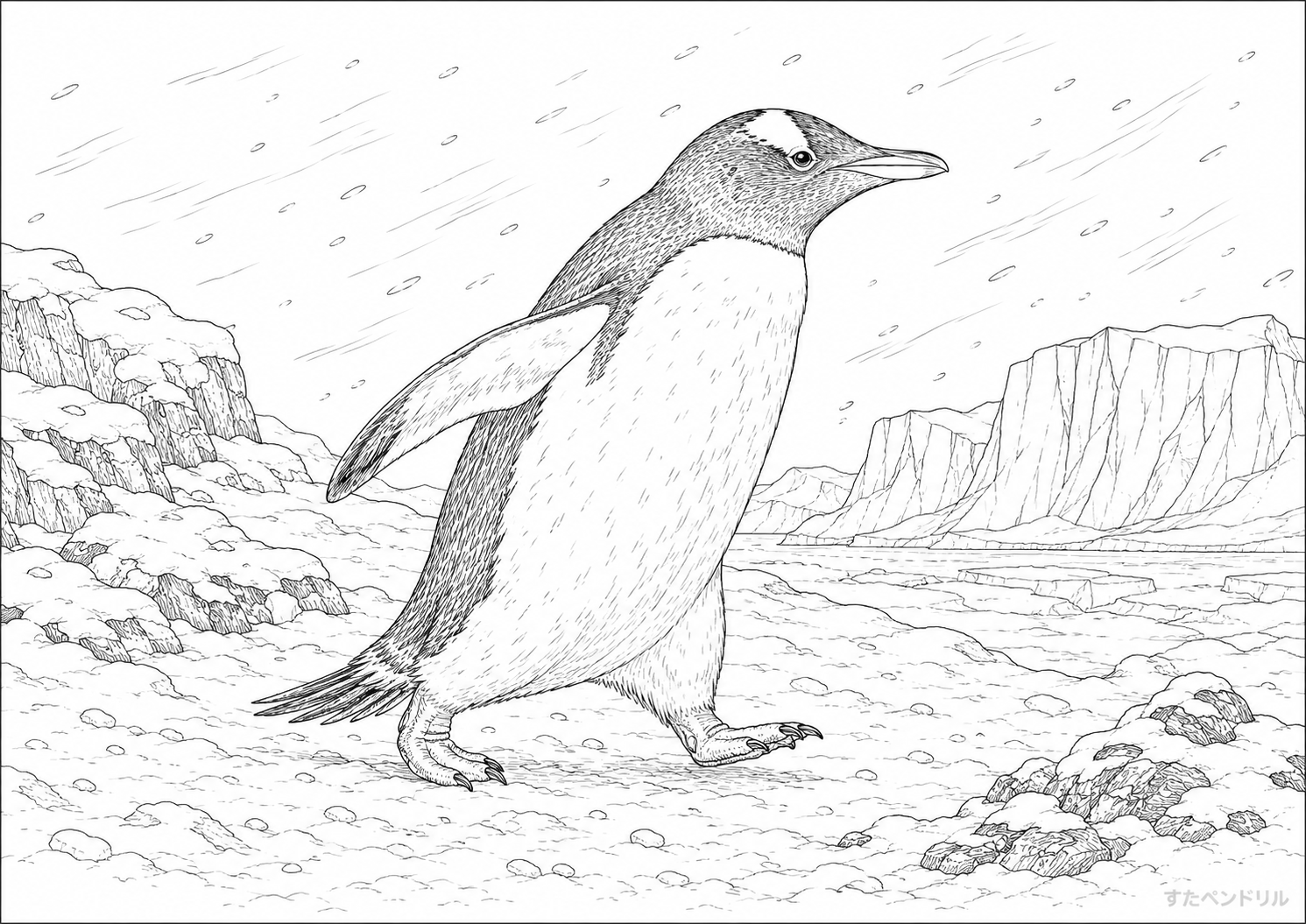 雪景色を歩くリアルなペンギンのぬりえ