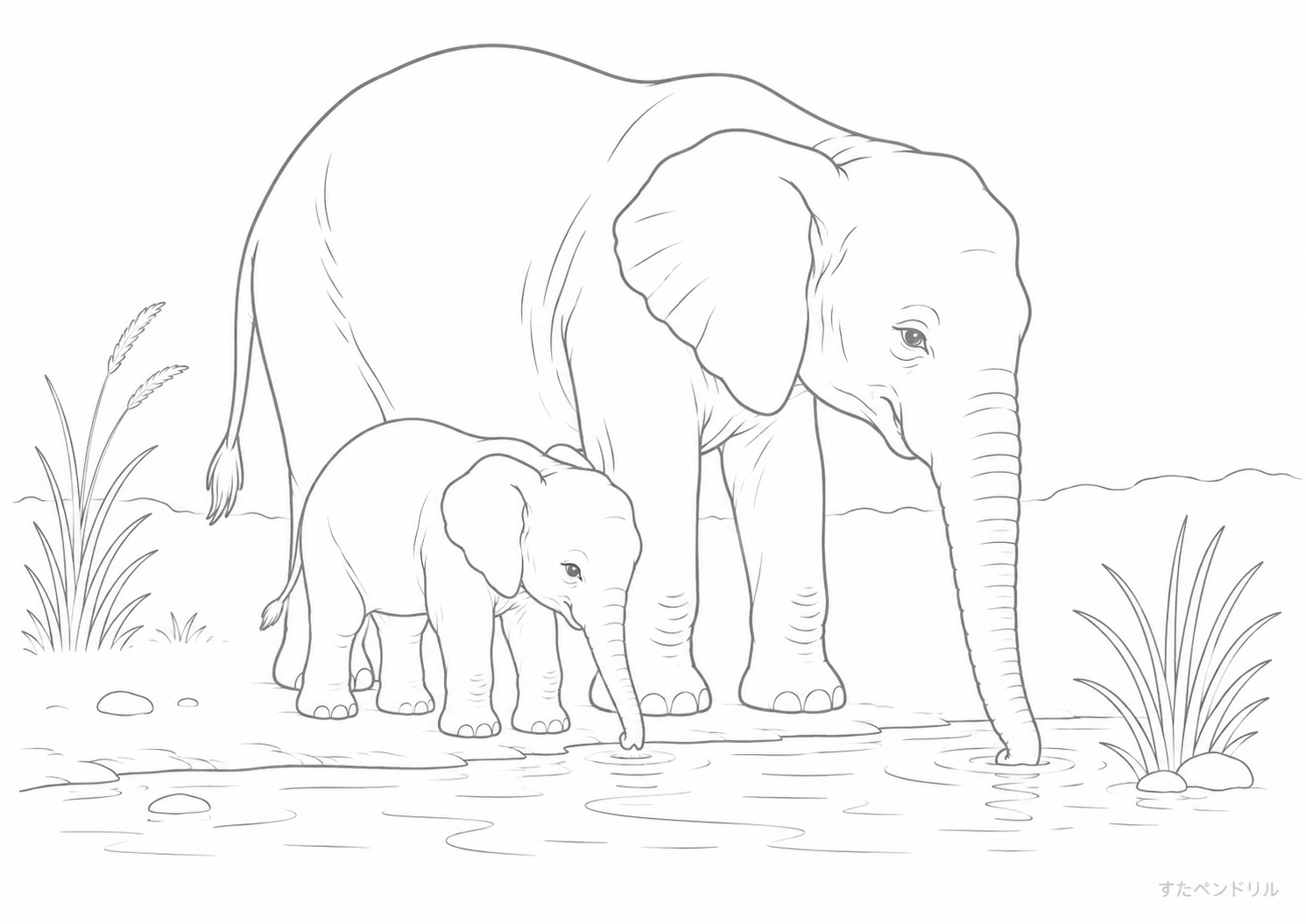 リアルなぞう（水辺の親子）のぬりえ
