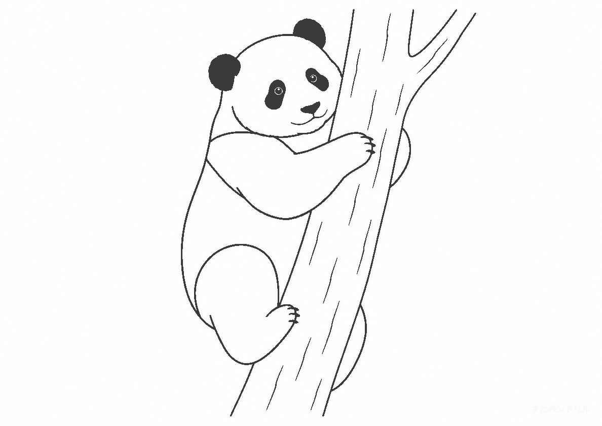 20 木に登るリアルなパンダ ぬりえ