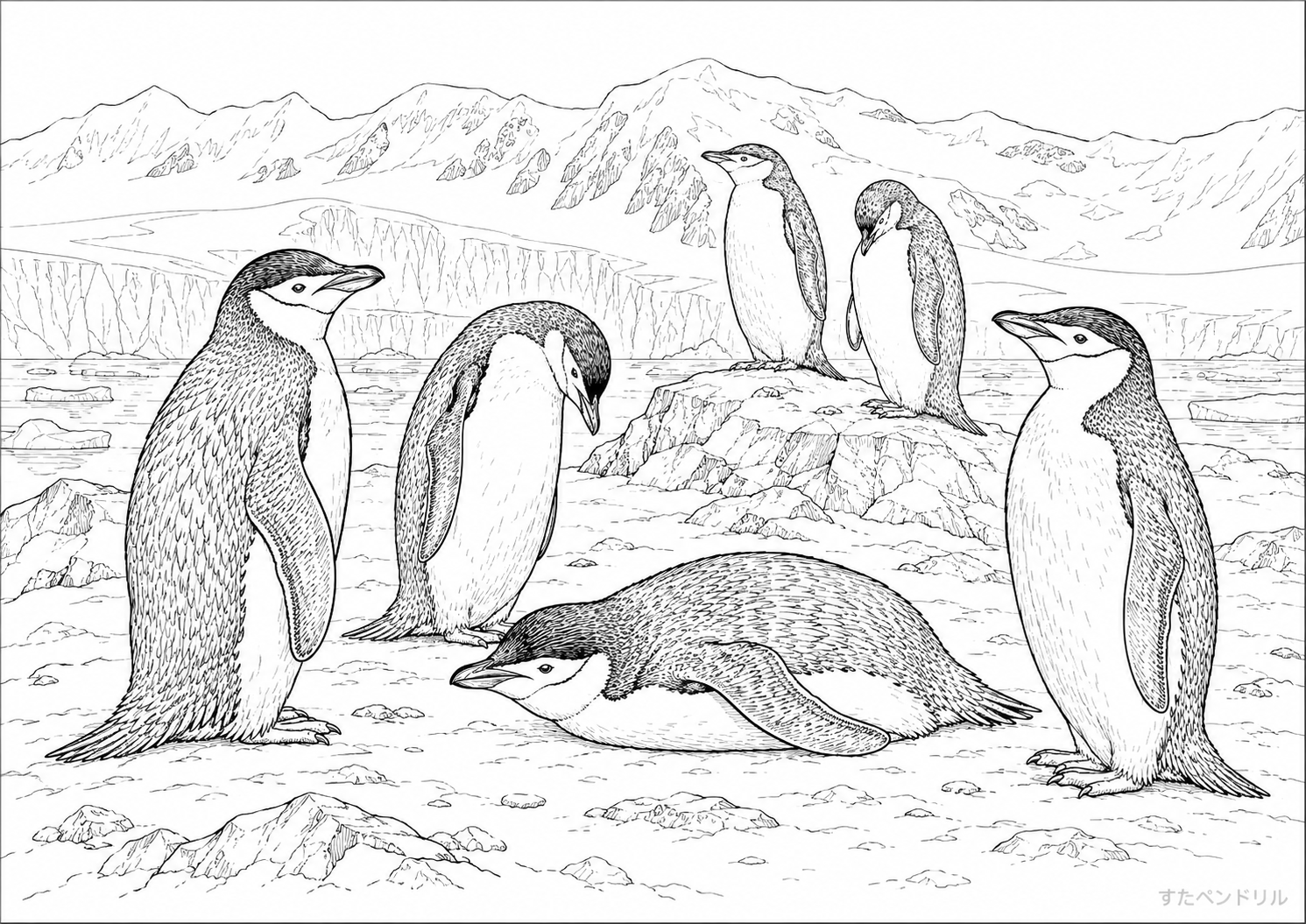 南極のペンギンの群れのぬりえ