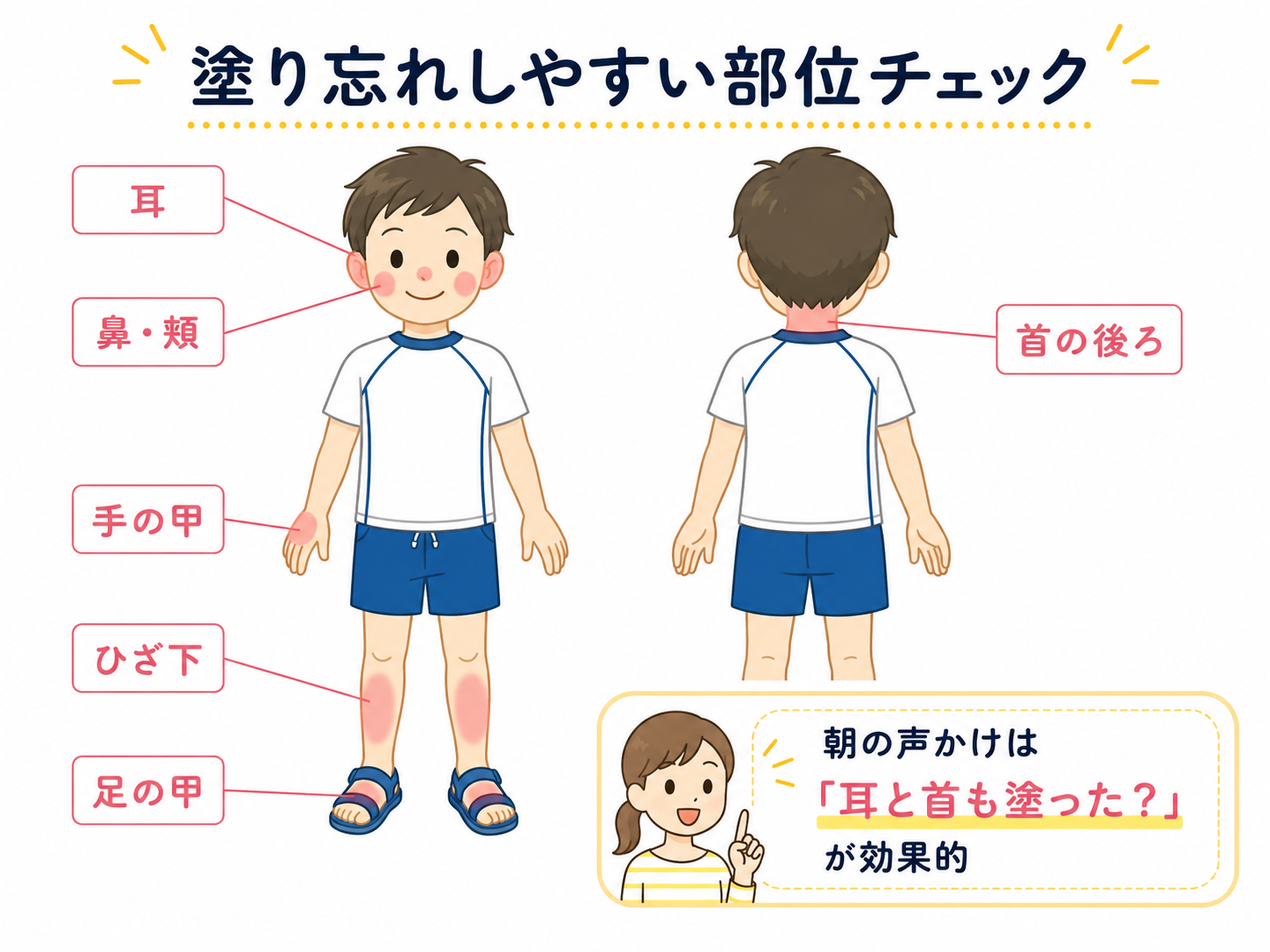 塗り忘れ部位チェック｜耳・首の後ろ・手の甲・ひざ下・足の甲