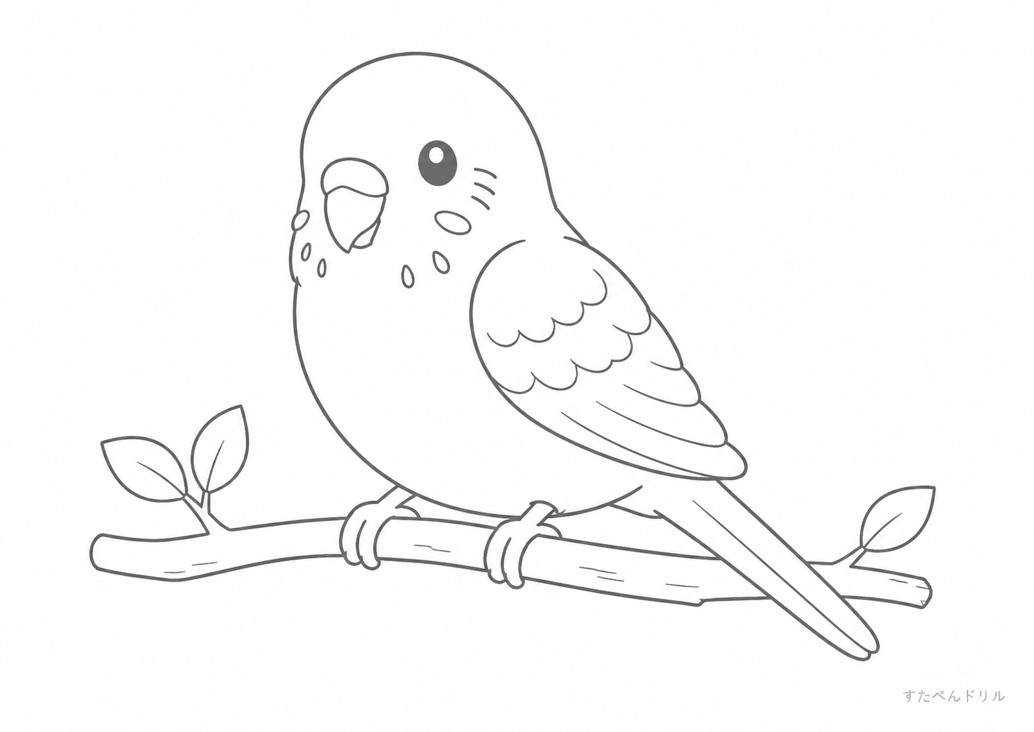 とりのぬりえ 小枝のインコ A4 無料PDFダウンロード印刷