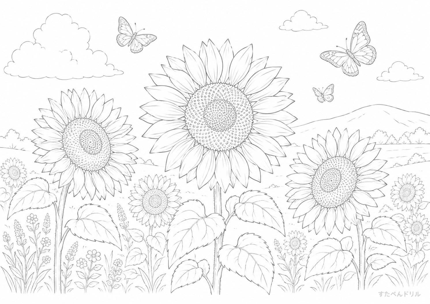 8月のぬりえ「ひまわり畑の風景」無料プリント