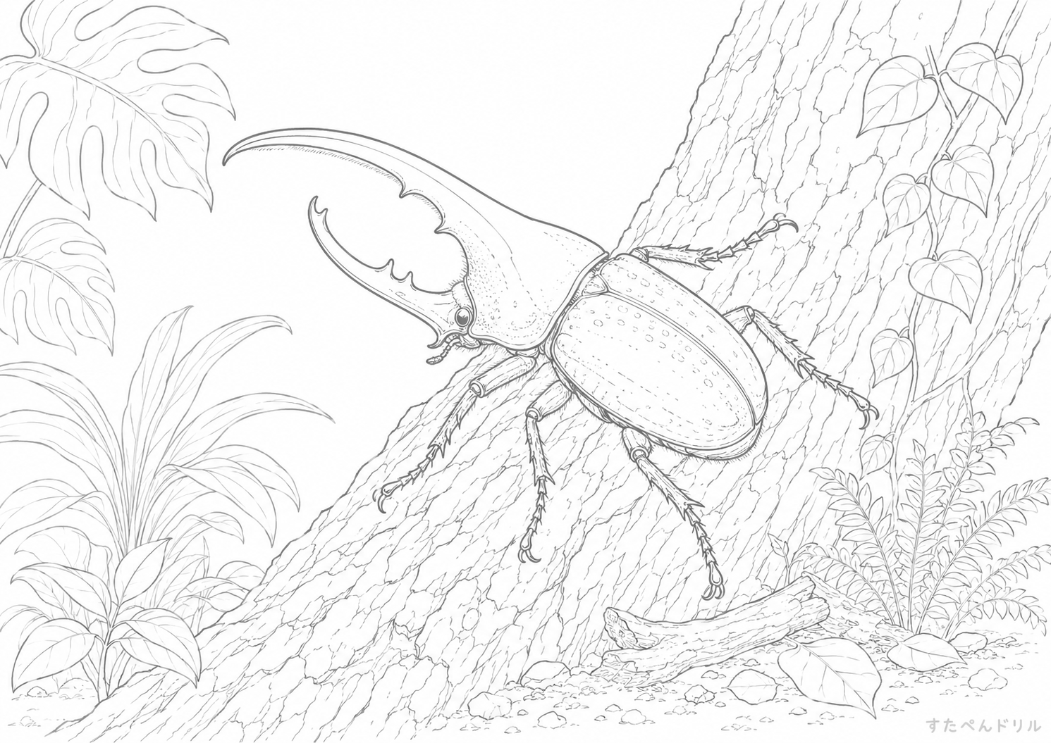 木を登るリアルなヘラクレスオオカブト塗り絵PDF